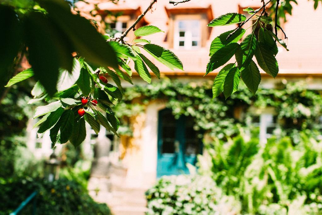 Hotel Villa Sorgenfrei & Restaurant Atelier Sanssouci ラーデボイル エクステリア 写真
